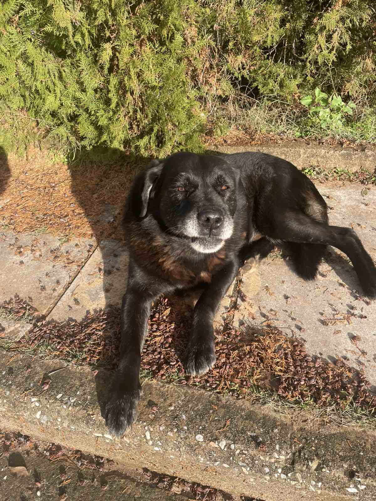 IMG ce984ad32ee60d7eb629570c1ff335f6 V